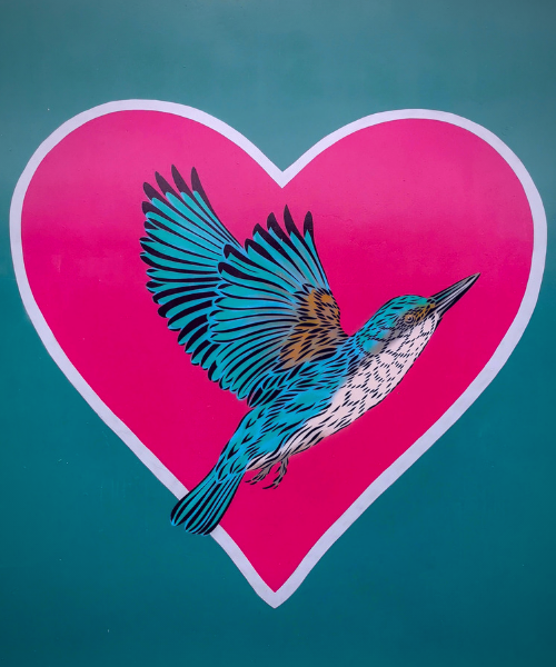 A blue bird flying in front of a big pink heart